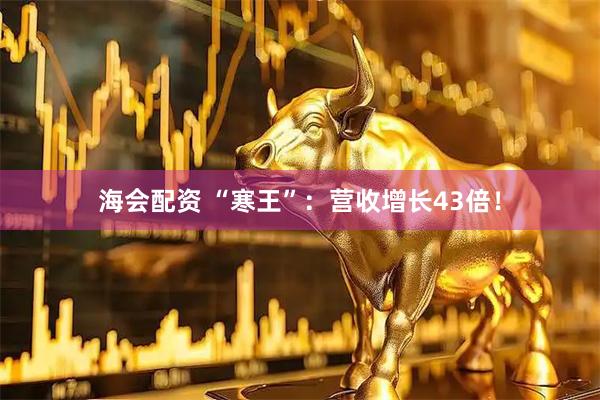 海会配资 “寒王”：营收增长43倍！