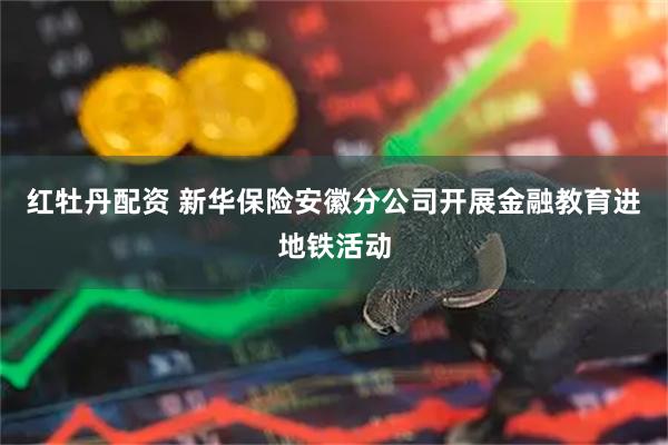 红牡丹配资 新华保险安徽分公司开展金融教育进地铁活动